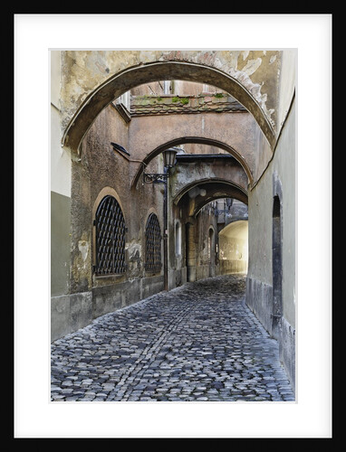 Cobblestone Streets in Ljubljana by Anonymous