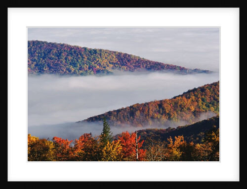 Fog Over Appalachian Mountains in Autumn by Anonymous