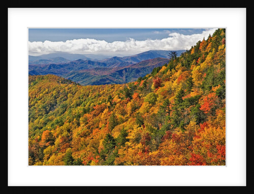 Appalachian Mountains in Autumn by Anonymous