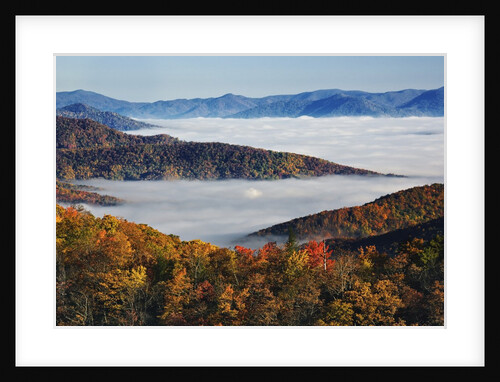Fog Over Appalachian Mountains in Autumn by Anonymous