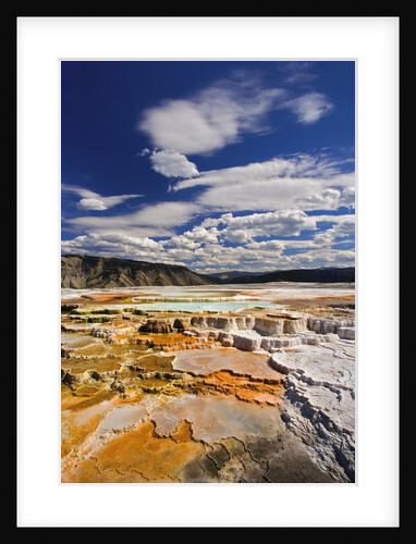 Colorful Terraces atop Mammoth Hot Springs by Anonymous