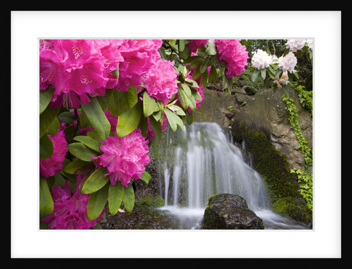 Waterfall by Anonymous