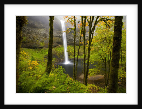 Waterfall by Anonymous