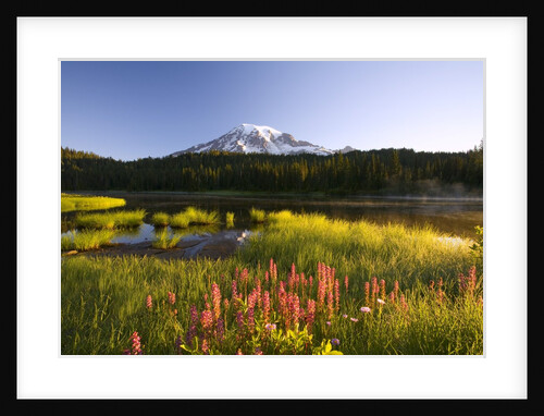 Mount Rainier National Park by Anonymous