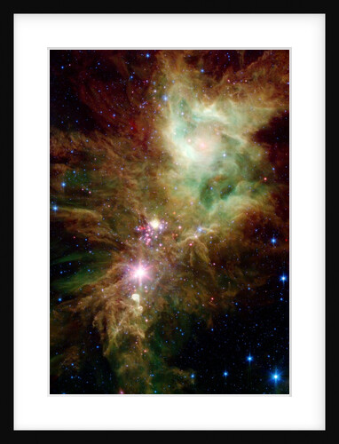 Section of the Christmas Tree Cluster by Anonymous