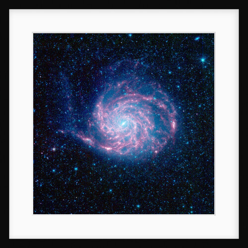 Pinwheel Galaxy by Anonymous