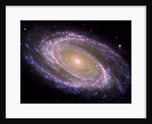M 81 spiral galaxy in Ursa Major by Anonymous