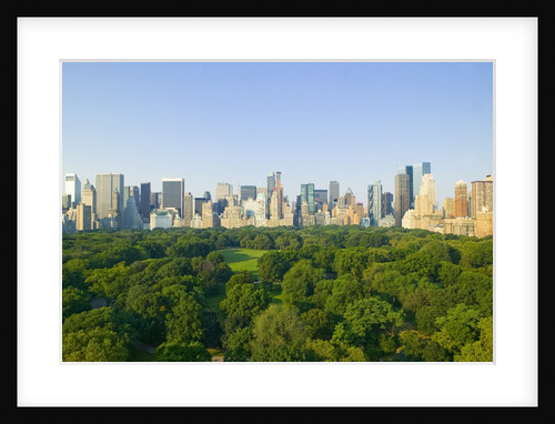 View of Central Park Southwest from Hot Air Balloon by Anonymous
