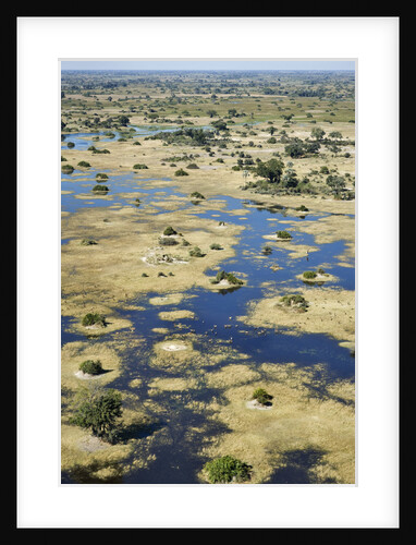 Aerial View of the Okavango Delta by Anonymous