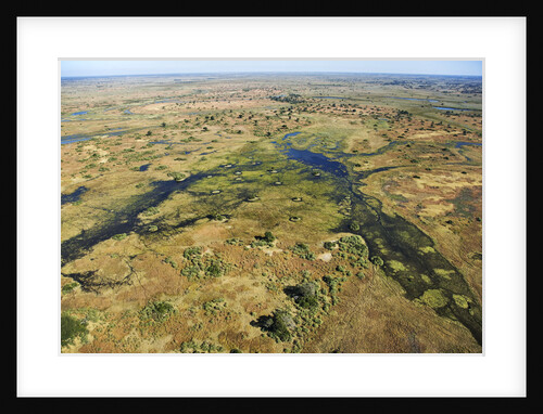 Islands and Waterways of the Okavango Delta by Anonymous