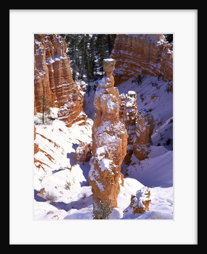 Thor's Hammer Hoodoo in Bryce Canyon National Park by Anonymous
