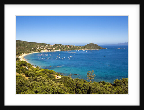 Campomoro Bay on Corsica by Anonymous