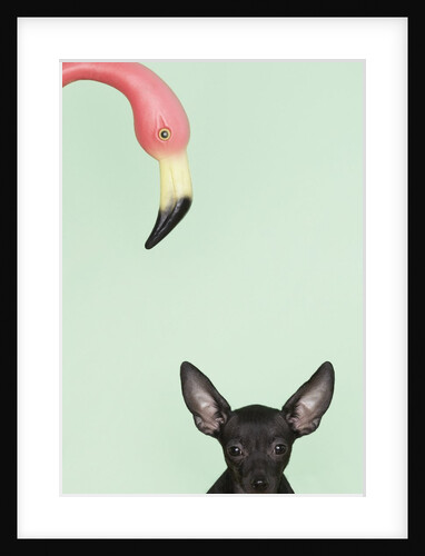 Chihuahua underneath a pink flamingo by Anonymous