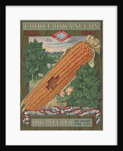 Calendar Illustration of Corn by Anonymous