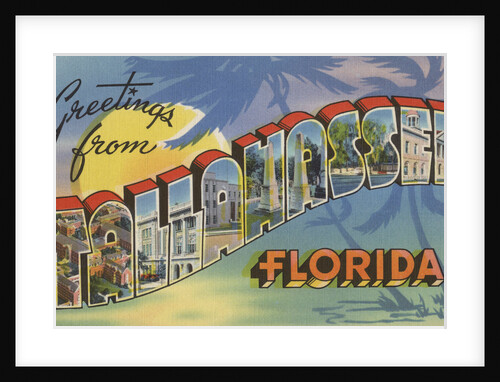 Greetings from Tallahassee Florida Postcard by Anonymous