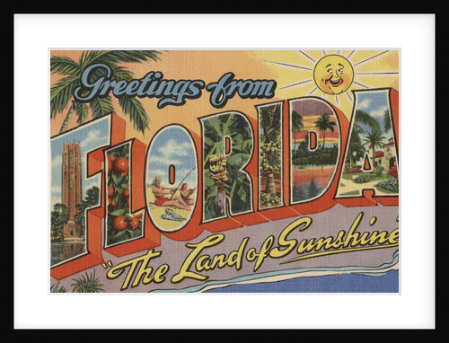 Greetings from Florida Postcard by Anonymous