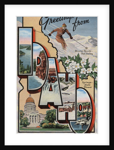 Greetings from Idaho Postcard by Anonymous