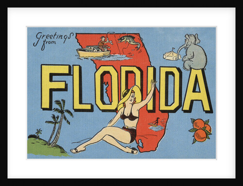 Greetings from Florida Postcard by Anonymous