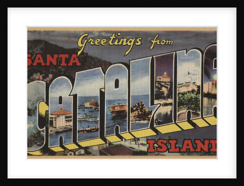 Greetings from Santa Catalina Island Postcard by Anonymous