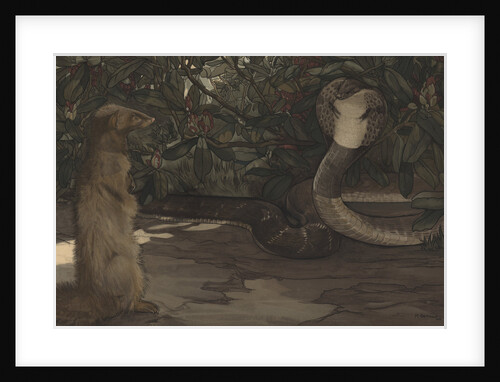 Rikki-Tikki by Charles Maurice Detmold