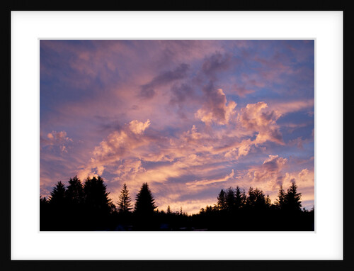 Sunset Over Auke Bay in Alaska by Anonymous