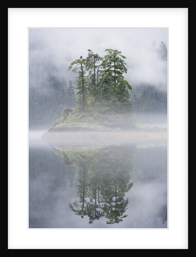 Rainforest Islands in Fog in Alaska by Anonymous