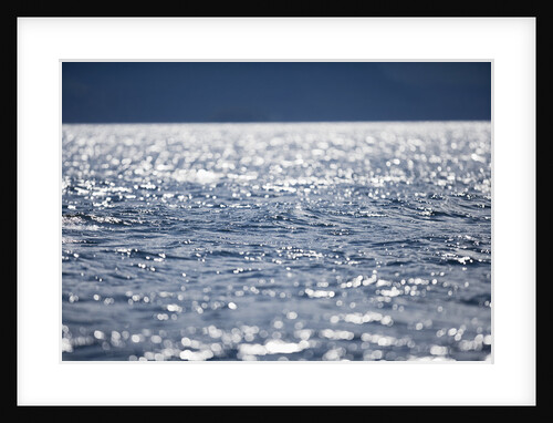 Sunshine on Pacific Ocean in Alaska by Anonymous