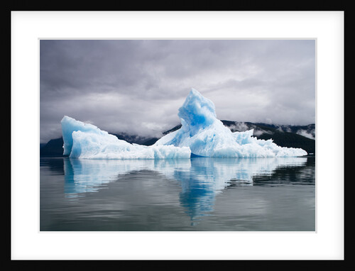 Icebergs near South Sawyer Glacier in Alaska by Anonymous