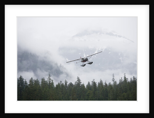 Floatplane above Rainforest in Misty Fjords National Monument by Anonymous