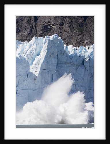Calving Glacier in Glacier Bay National Park by Anonymous