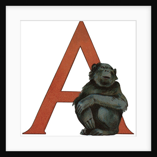 A Is For Arangatain Illustration by Anonymous