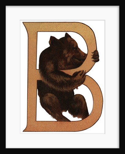 Bear Is For Bear Illustration by Anonymous