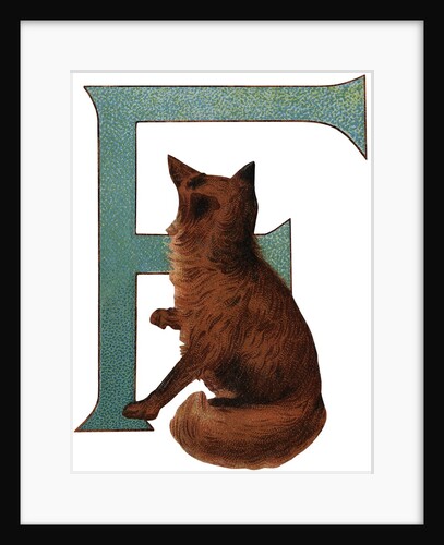 F Is For Fox Illustration by Anonymous