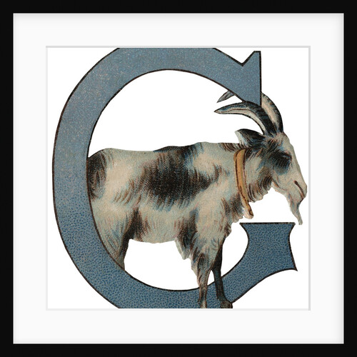G Is For Goat Illustration by Anonymous