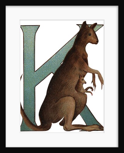 K Is For Kangaroo Illustration by Anonymous