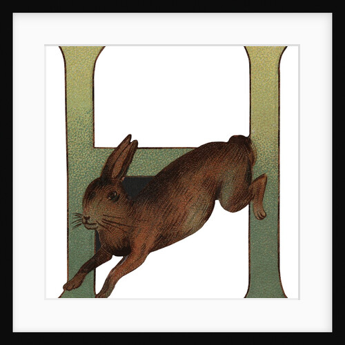 H Is For Hare Illustration by Anonymous