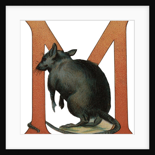 M Is For Mouse Illustration by Anonymous