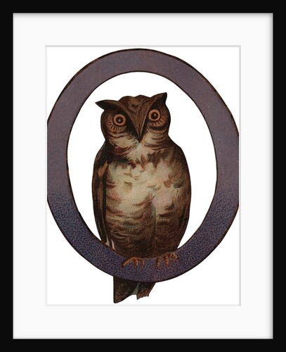 Owl Is For Owl Illustration by Anonymous