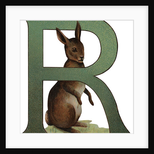 R Is For Rabbit Illustration by Anonymous