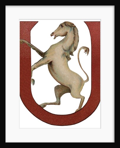 U Is For Unicorn Illustration by Anonymous