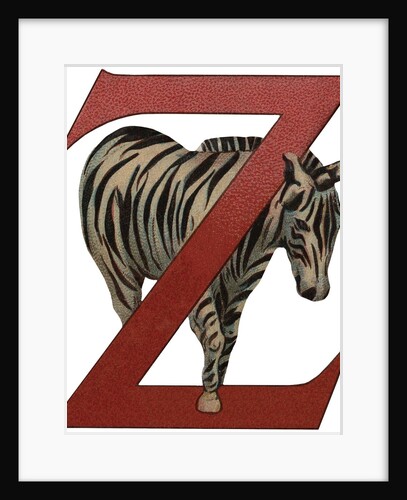 Z Is For Zebra Illustration by Anonymous