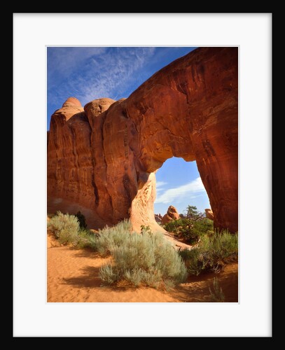 Pine Tree Arch in Arches National Park by Anonymous