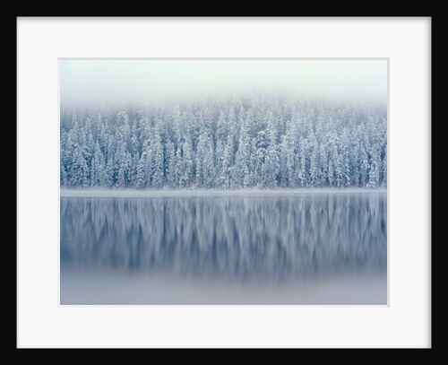 Lost Lake and Snow-Covered Douglas Firs by Anonymous