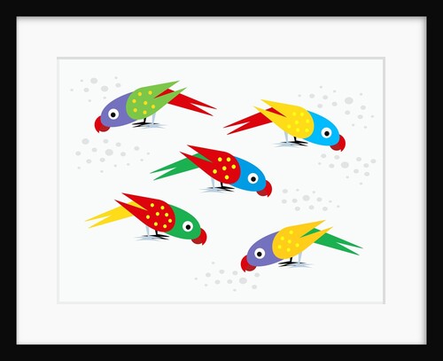 Five parrots pecking birdseed by Anonymous