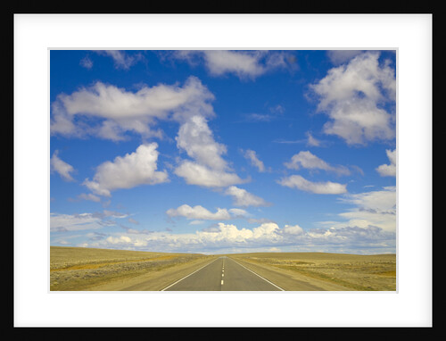 Paved Highway across Pampas by Anonymous