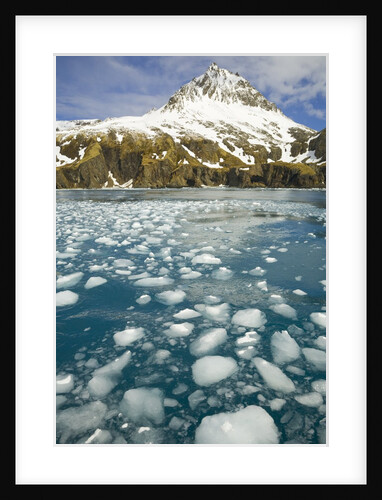 Ice Chunks From Twitcher Glacier Below the Salvesen Range by Anonymous