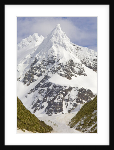 Snowy Peak Towering over King Penguins and Fur Seals by Anonymous