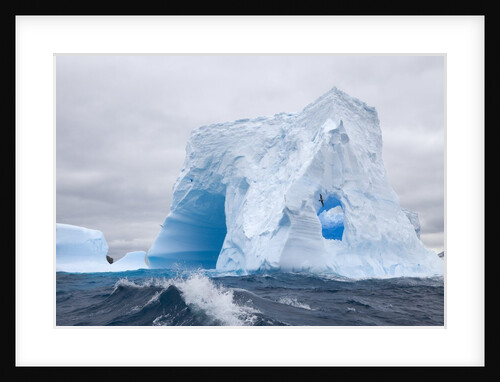 Blue Iceberg Sculpted by Waves and Southern Giant Petrel in Flight by Anonymous