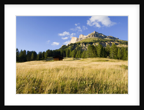 Passo di Costalunga and Catinaccio Mountains by Anonymous