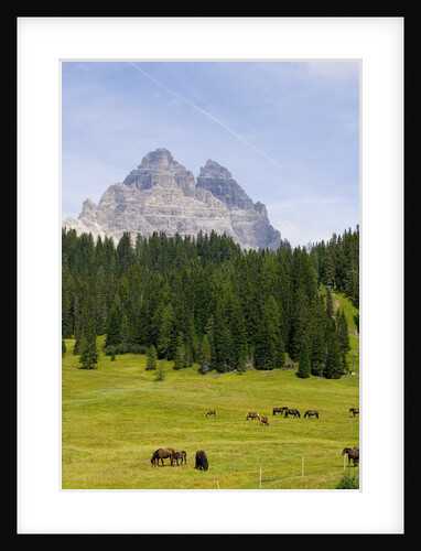 Tre Cime di Lavaredo by Anonymous